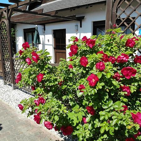 Ferienhaus Kress Links Sellin Kültér fotó